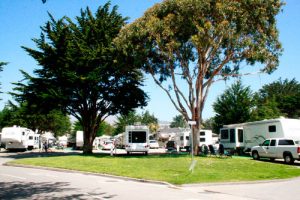 a group of white RVs set up at an RV campground