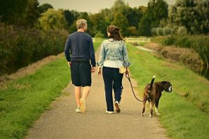 a man and a woman walking a dog 