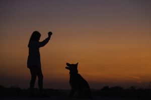 girl playing fetch with a dog