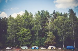 line of RVs driving by trees