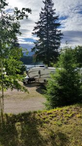 white RV parked under trees