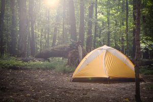 yellow tent in the forest