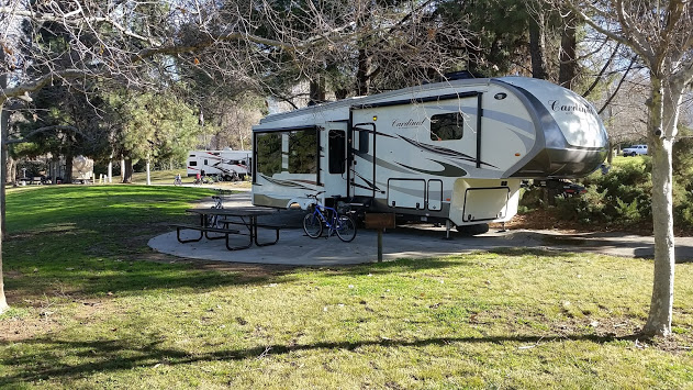 Cardinal Forest River RV parked at a campground