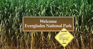 Sign that says "Welcome Everglades National Park"