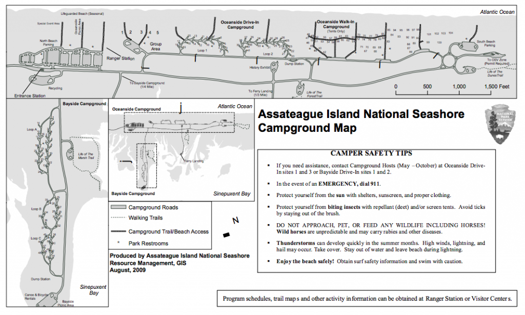Assateague Island National Seashore Campground Map